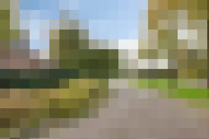 Jol 10 10 47 Lelystad thumbnail 21