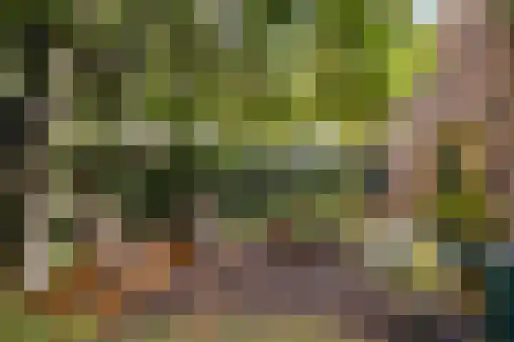 Jol 10 10 47 Lelystad thumbnail 5
