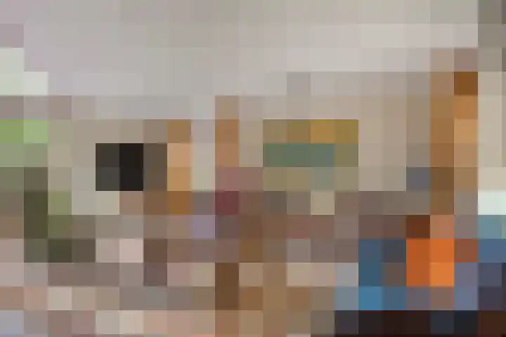 Jol 10 10 47 Lelystad thumbnail 8
