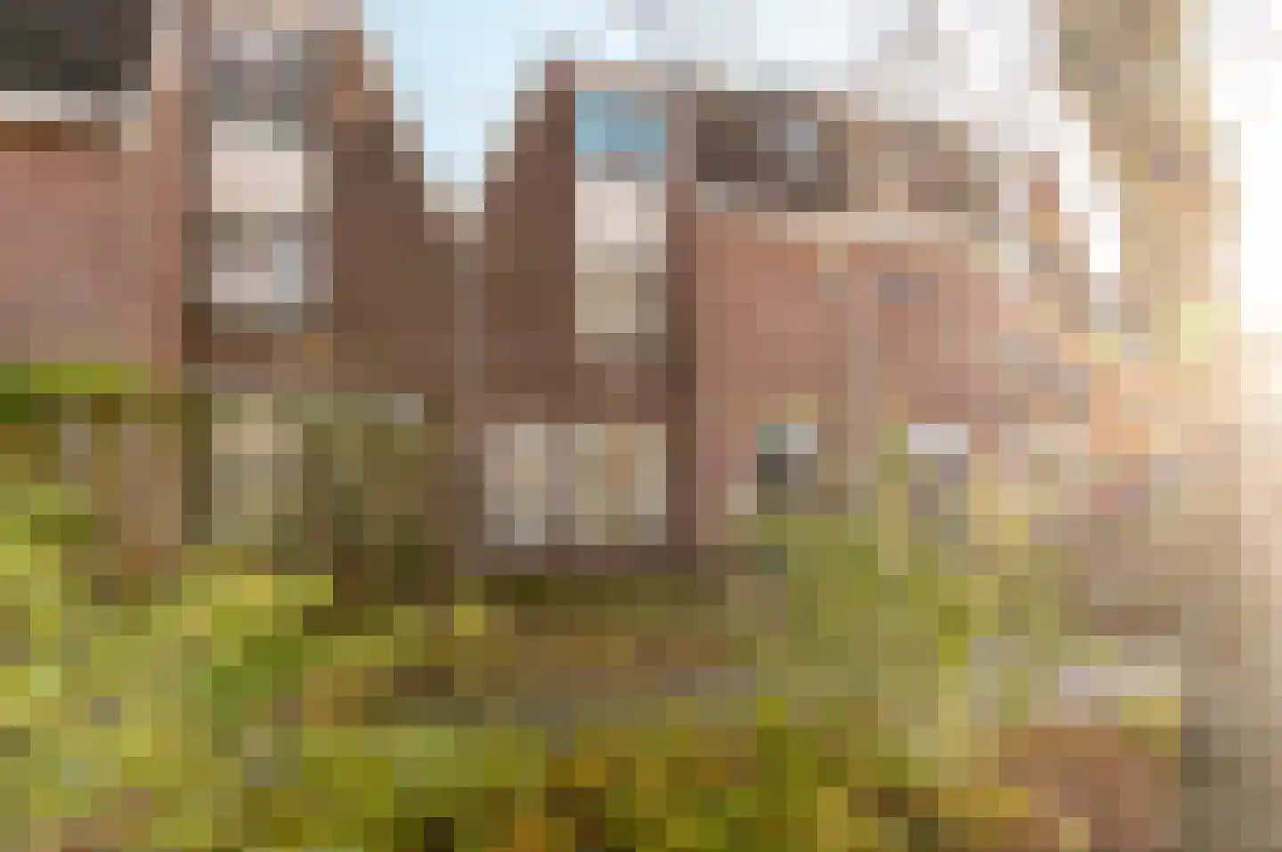 Jol 10 10 A Lelystad thumbnail 23