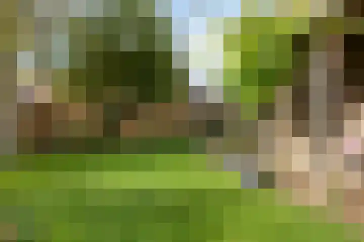 Jol 10 47 Lelystad thumbnail 18