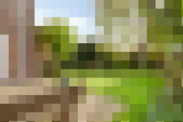 Jol 10 47 Lelystad thumbnail 20
