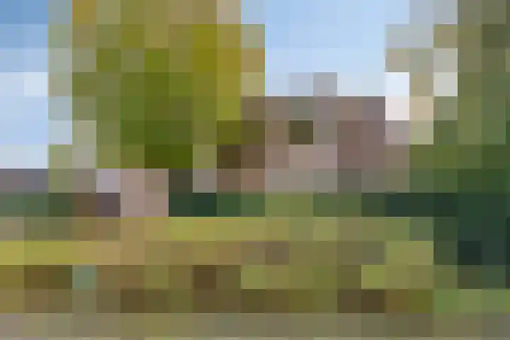 Jol 10 47 Lelystad thumbnail 22