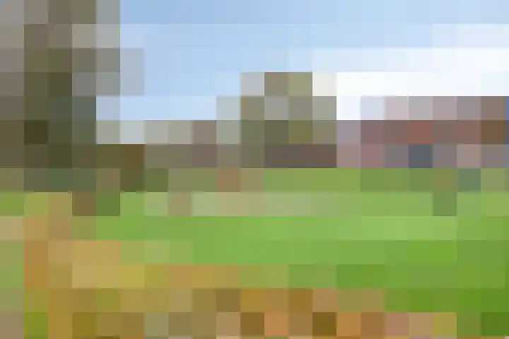 Jol 10 47 Lelystad thumbnail 26