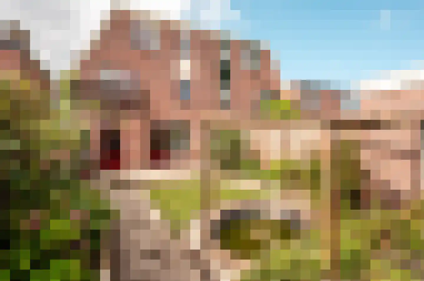 Jol 10 48 Lelystad thumbnail 33
