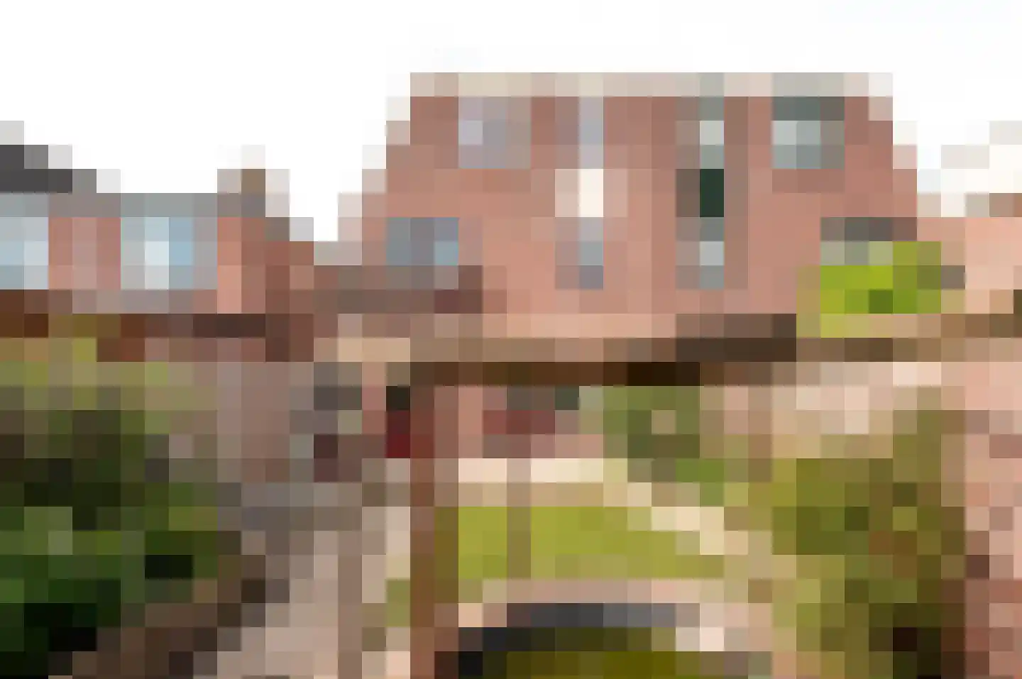 Jol 10 48 Lelystad thumbnail 34