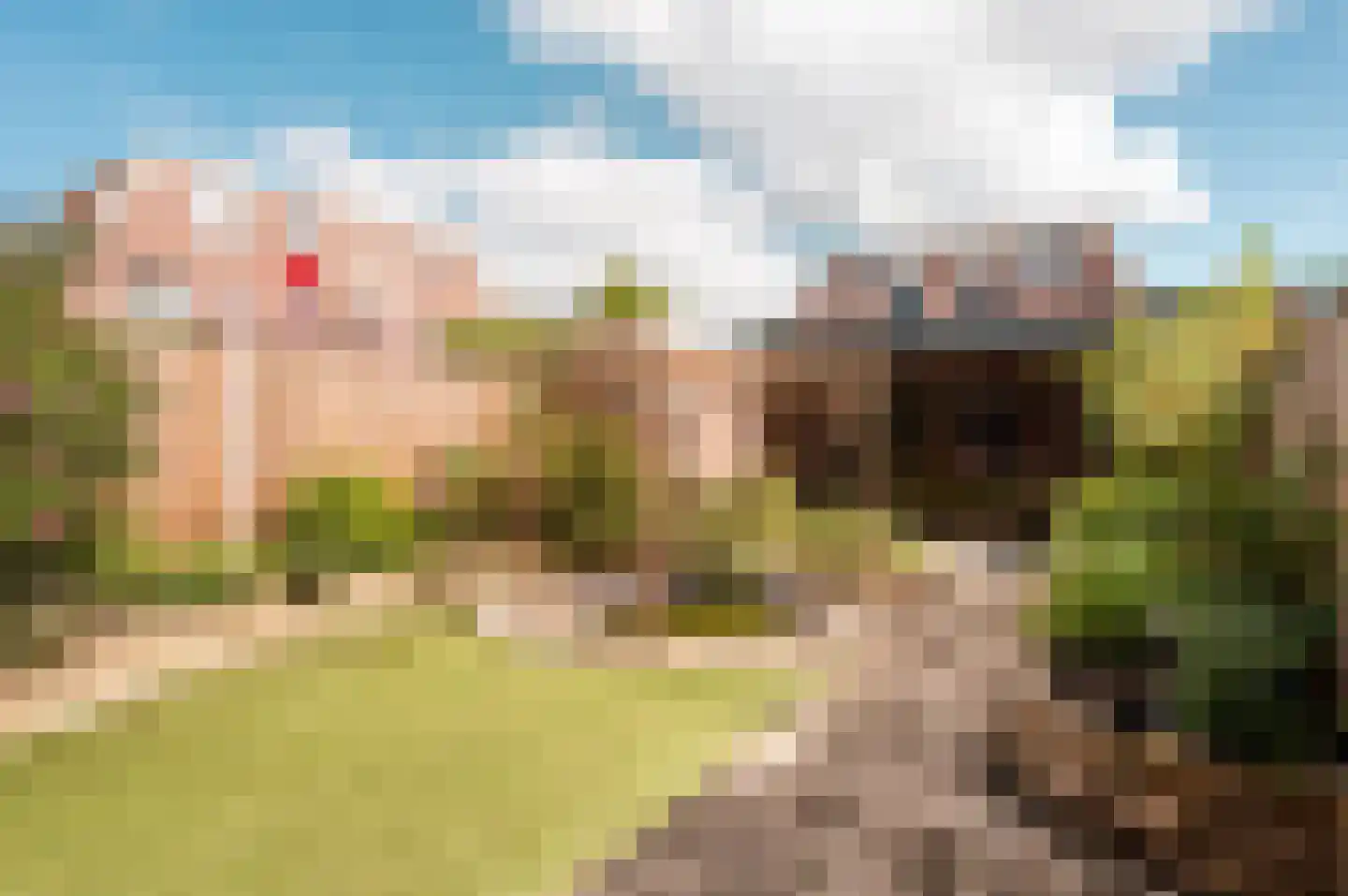 Jol 10 48 Lelystad thumbnail 36