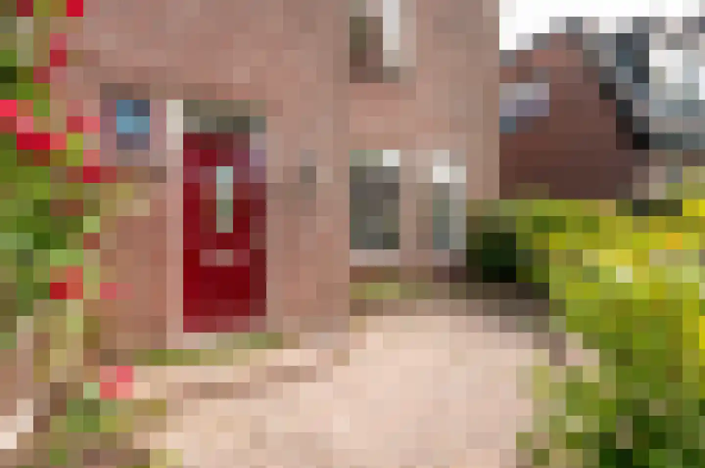Jol 10 48 Lelystad thumbnail 37