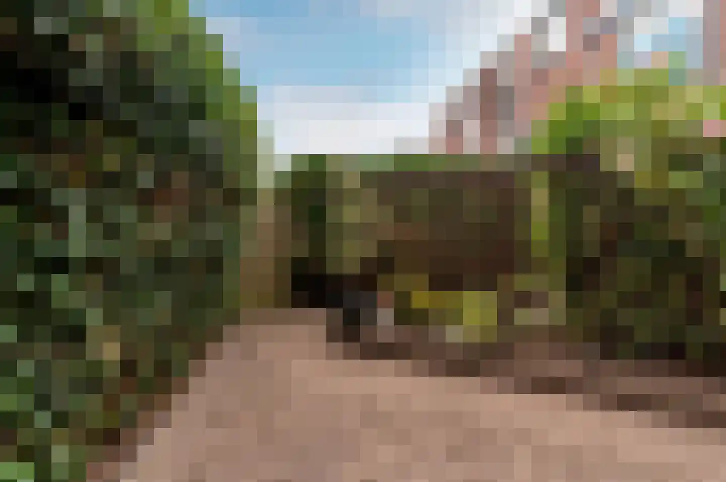 Jol 10 54 Lelystad thumbnail 24