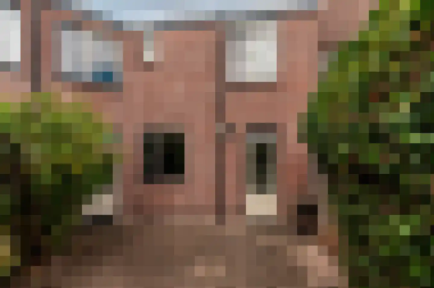 Jol 10 54 Lelystad thumbnail 25