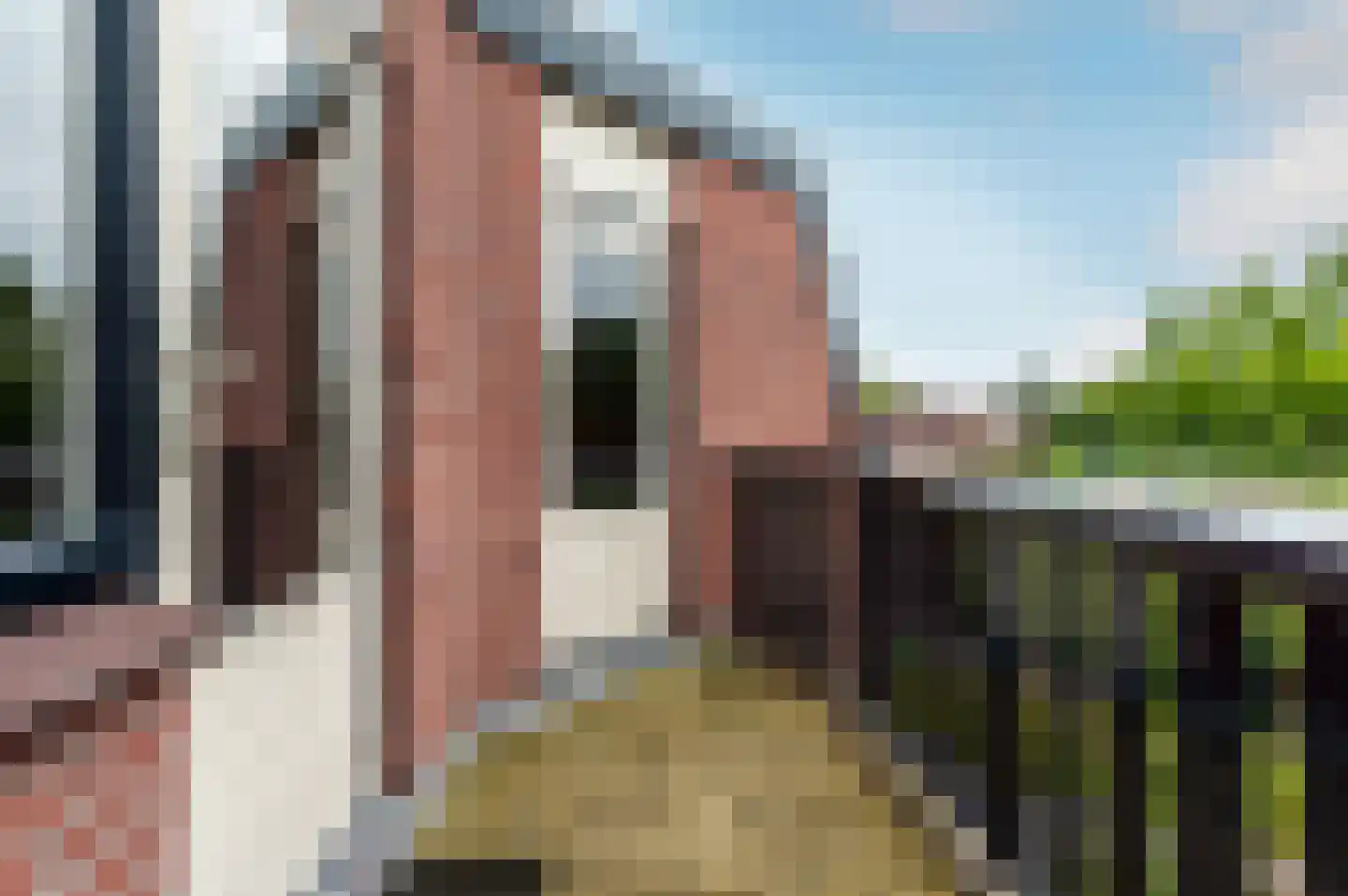 Jol 10 54 Lelystad thumbnail 41