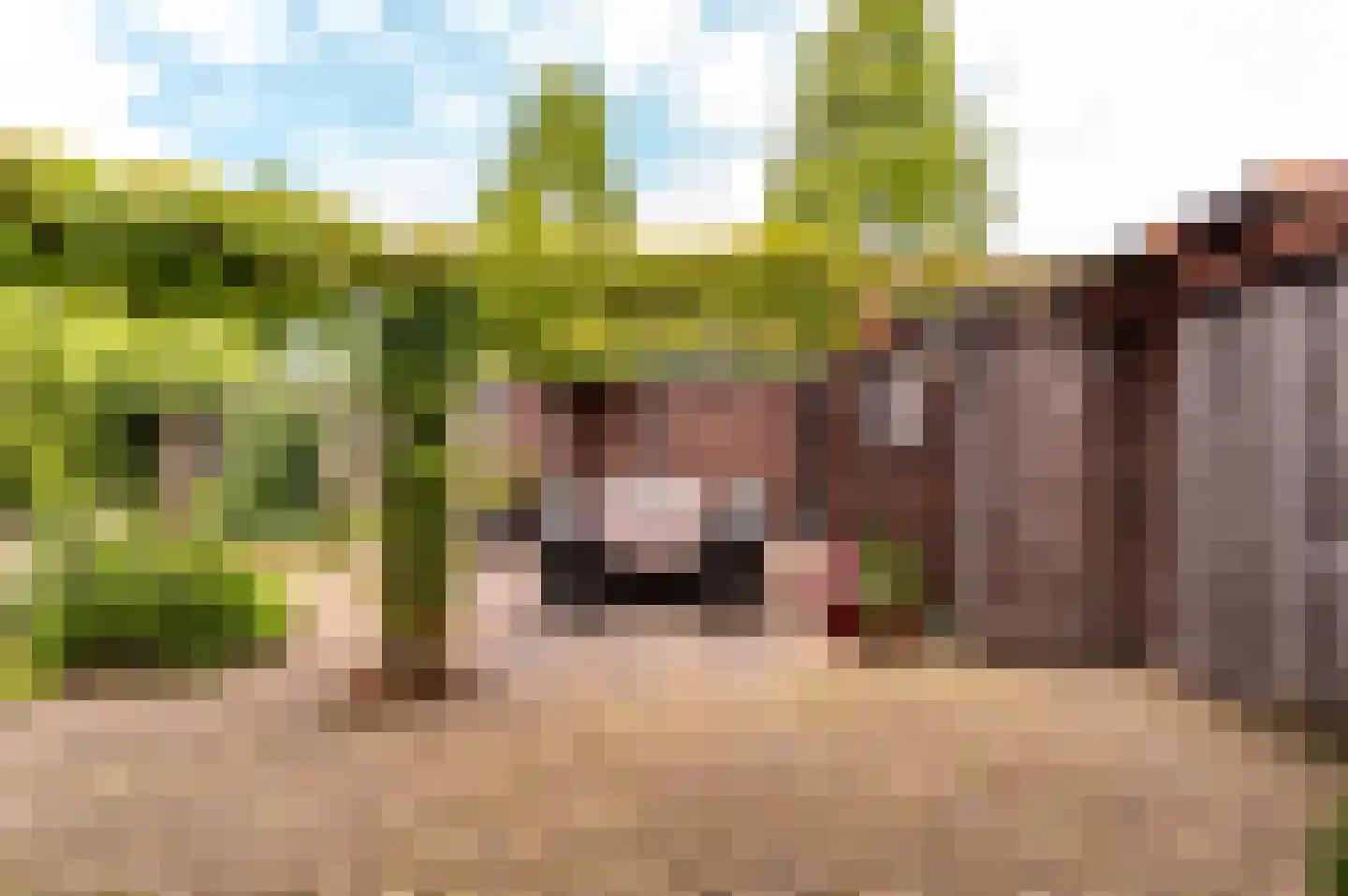 Jol 10 54 Lelystad thumbnail 44