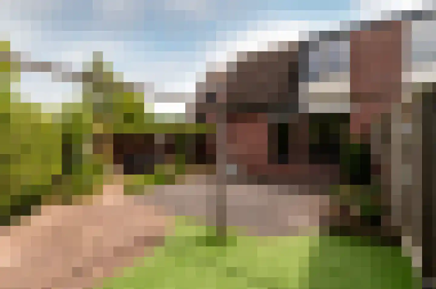 Jol 10 54 Lelystad thumbnail 50