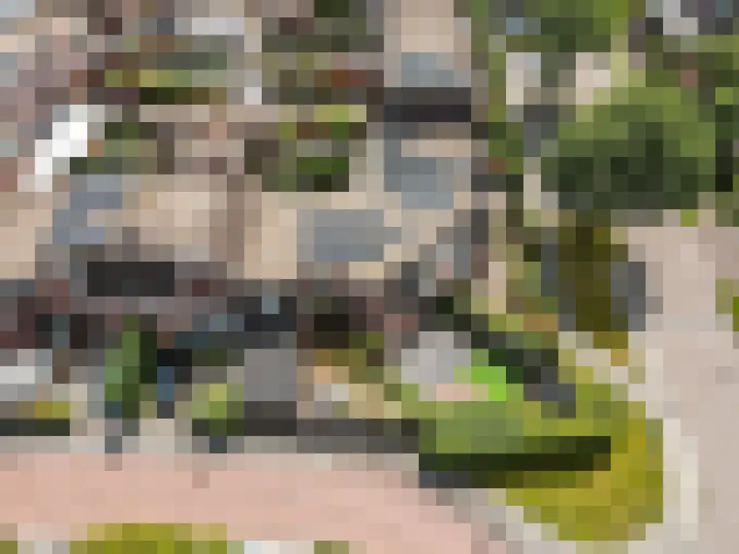 Jol 10 54 Lelystad thumbnail 8