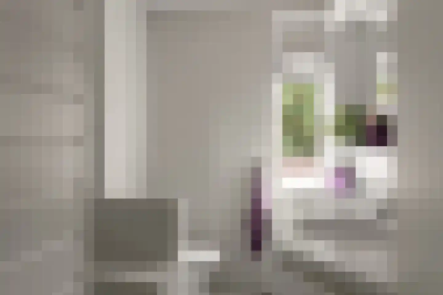 Jol 101 Amstelveen thumbnail 18