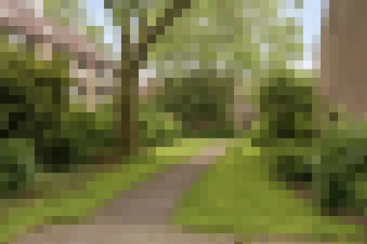 Jol 101 Amstelveen thumbnail 25