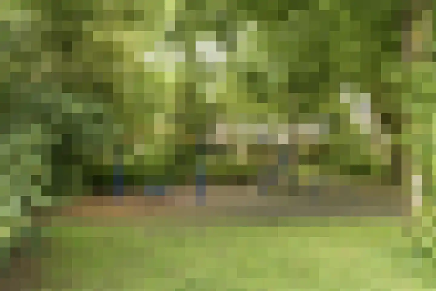 Jol 101 Amstelveen thumbnail 30