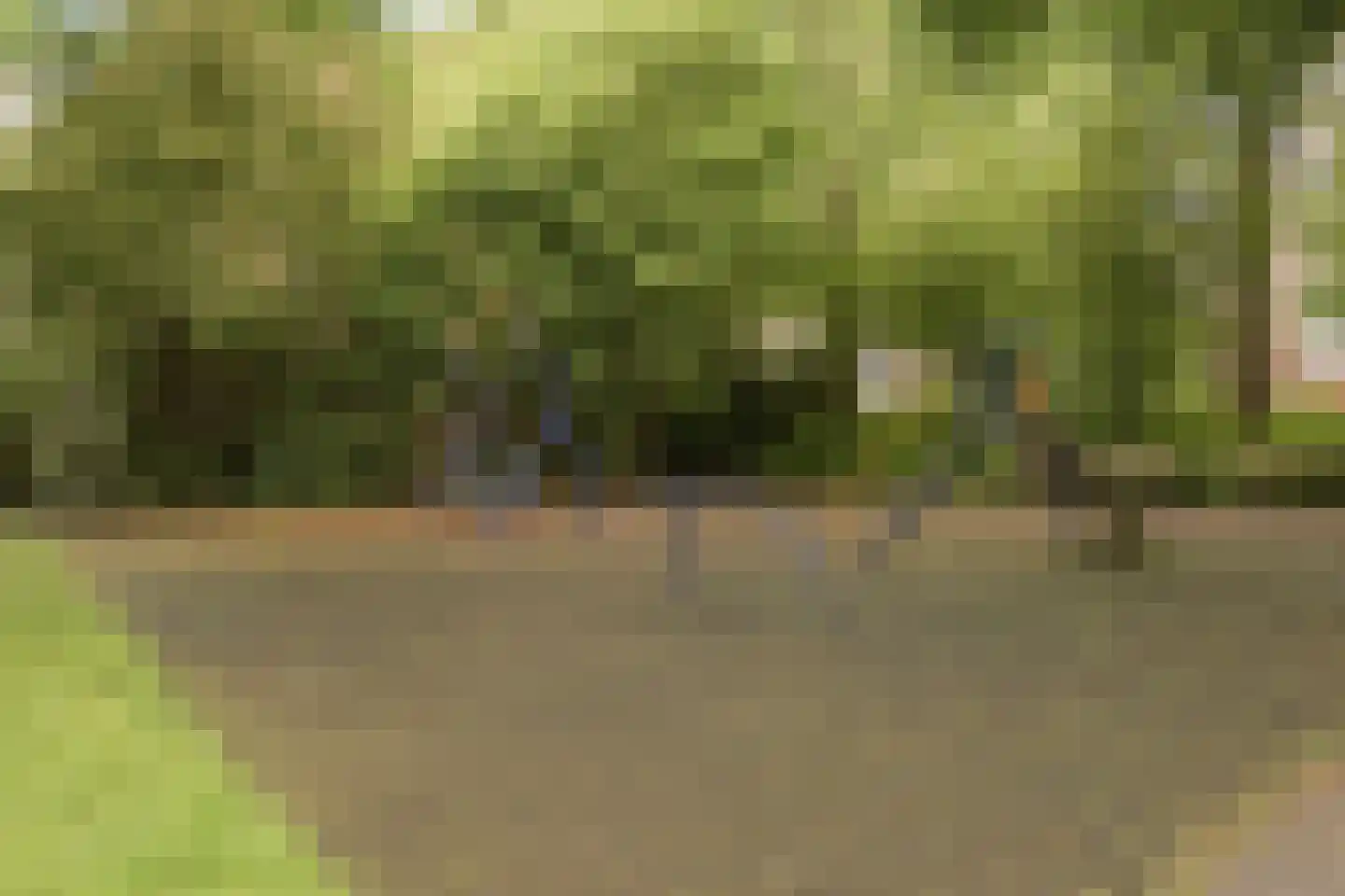 Jol 101 Amstelveen thumbnail 31