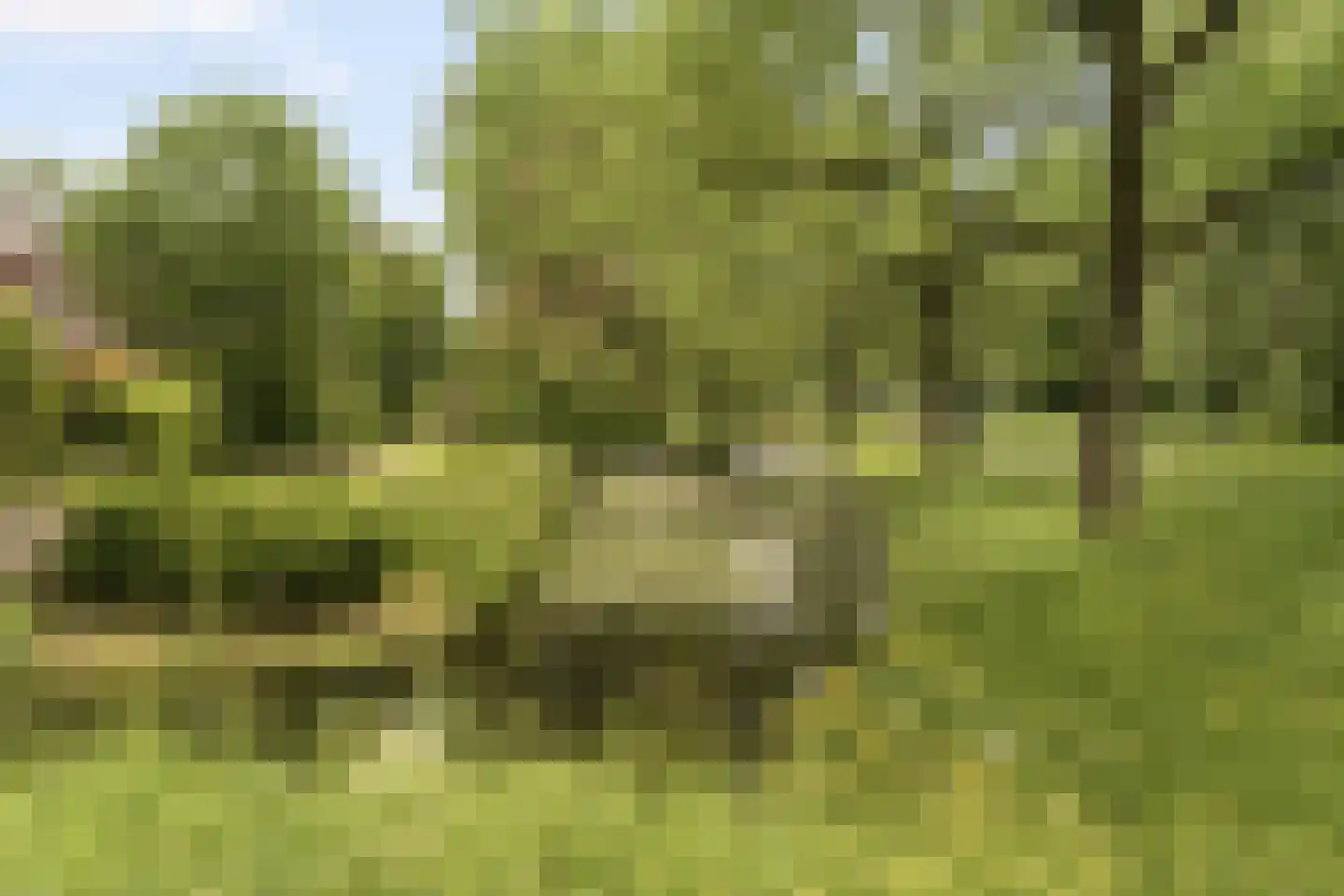 Jol 101 Amstelveen thumbnail 32