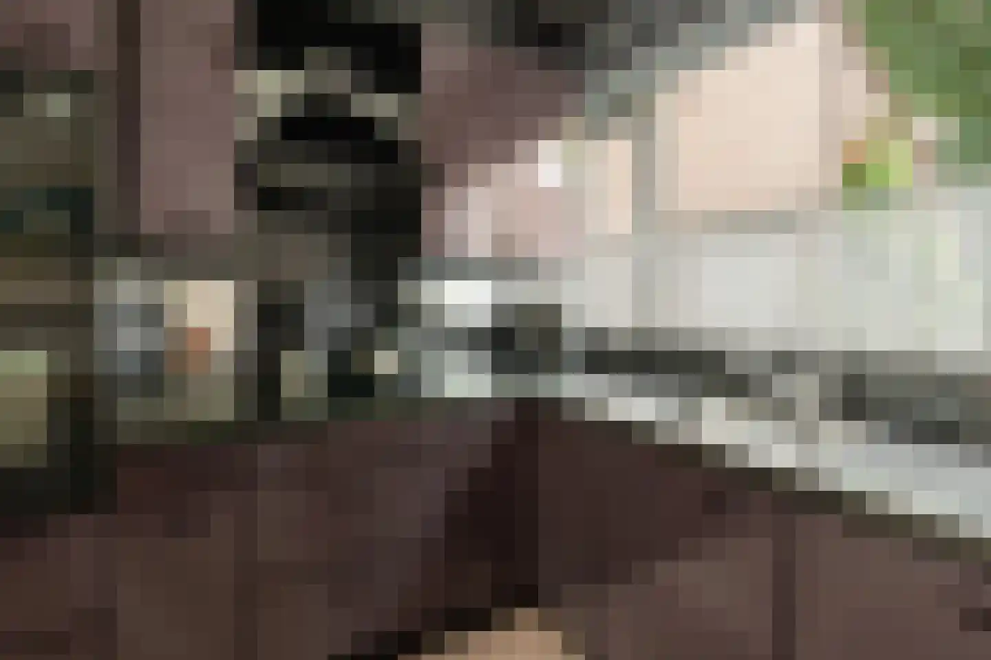 Jol 101 Amstelveen thumbnail 8