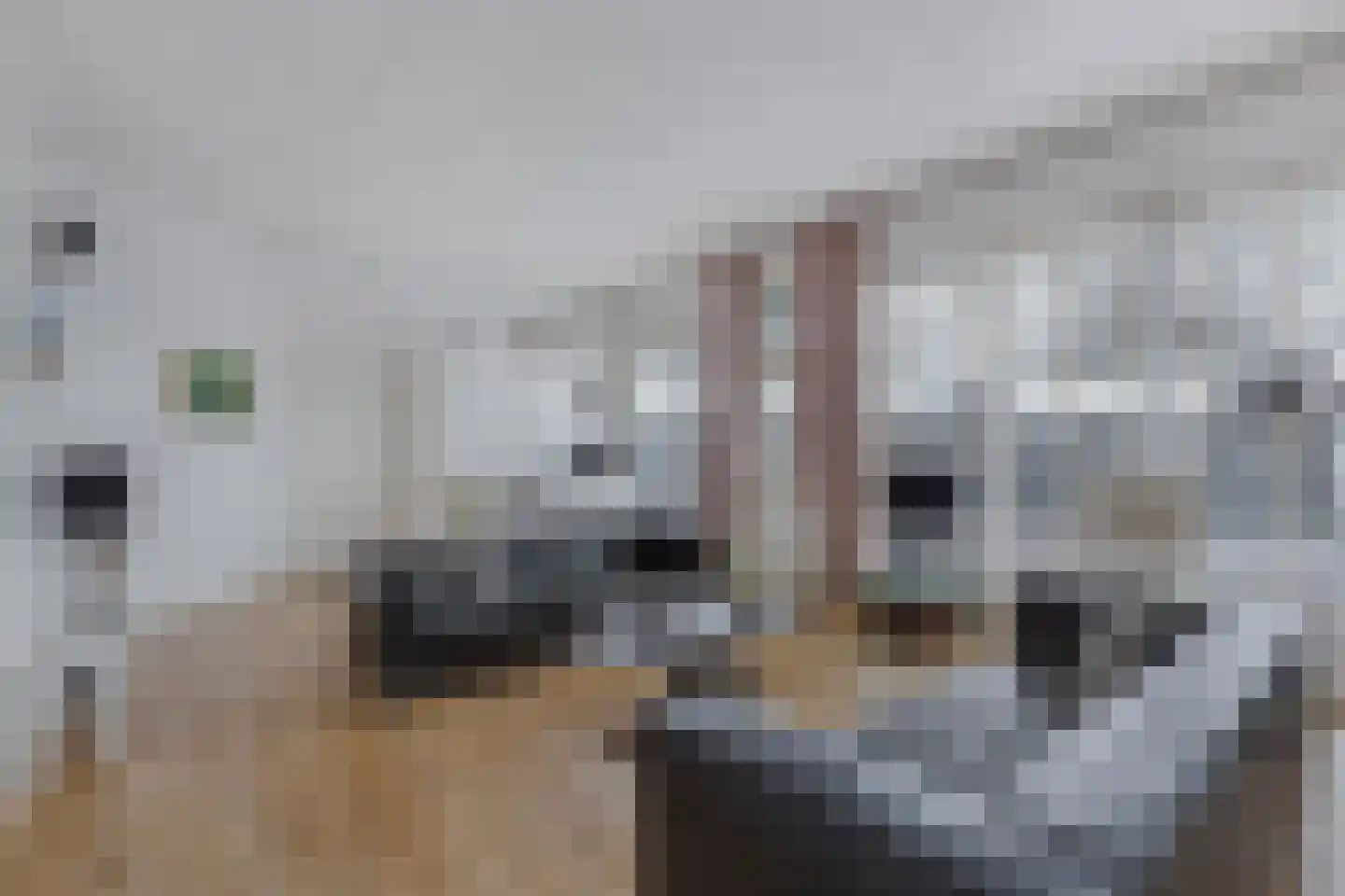 Jol 11 30 Lelystad thumbnail 38