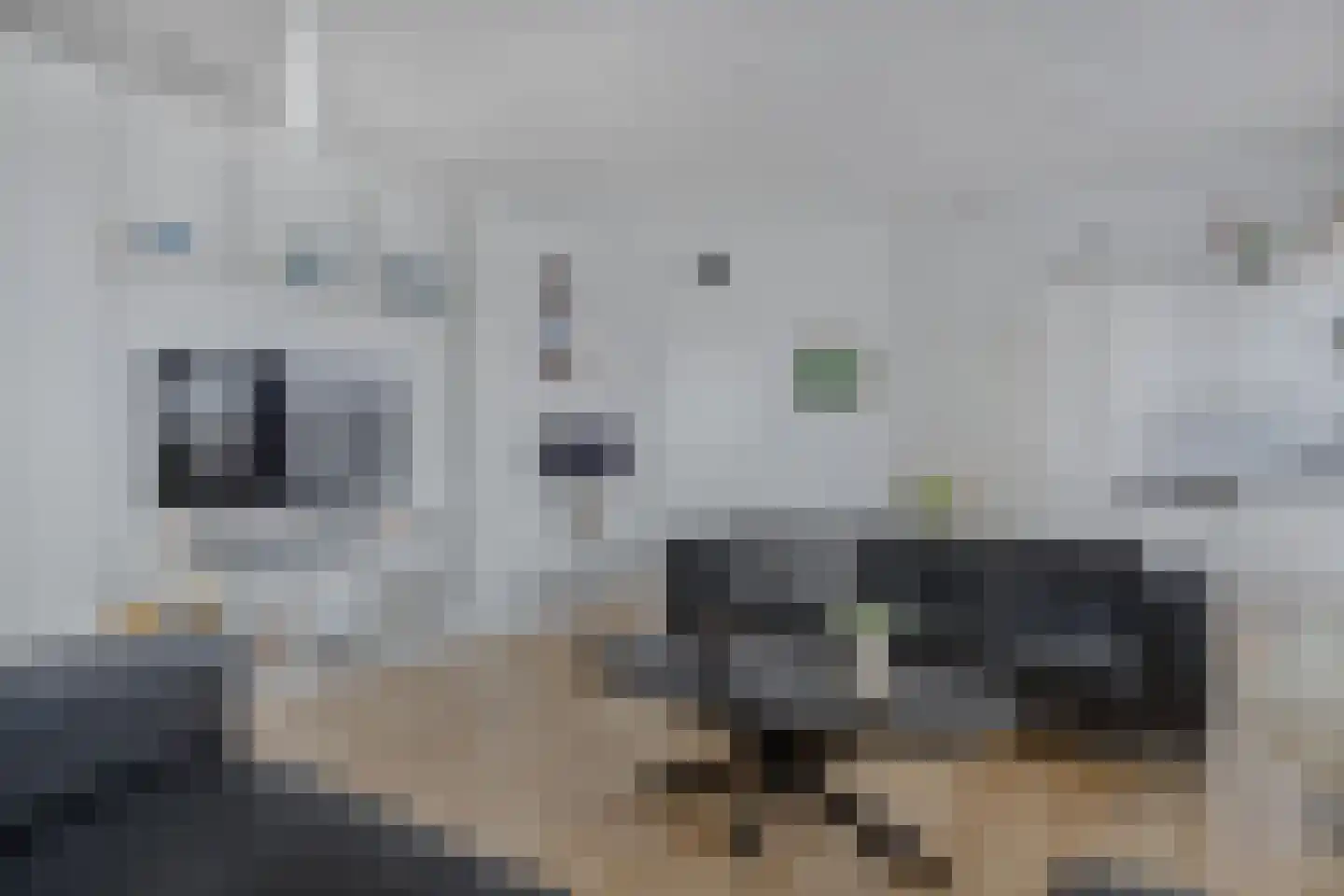 Jol 11 30 Lelystad thumbnail 39