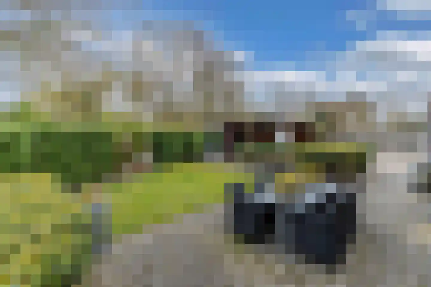 Jol 11 30 Lelystad thumbnail 52