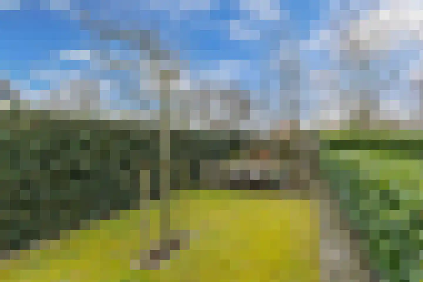 Jol 11 30 Lelystad thumbnail 56