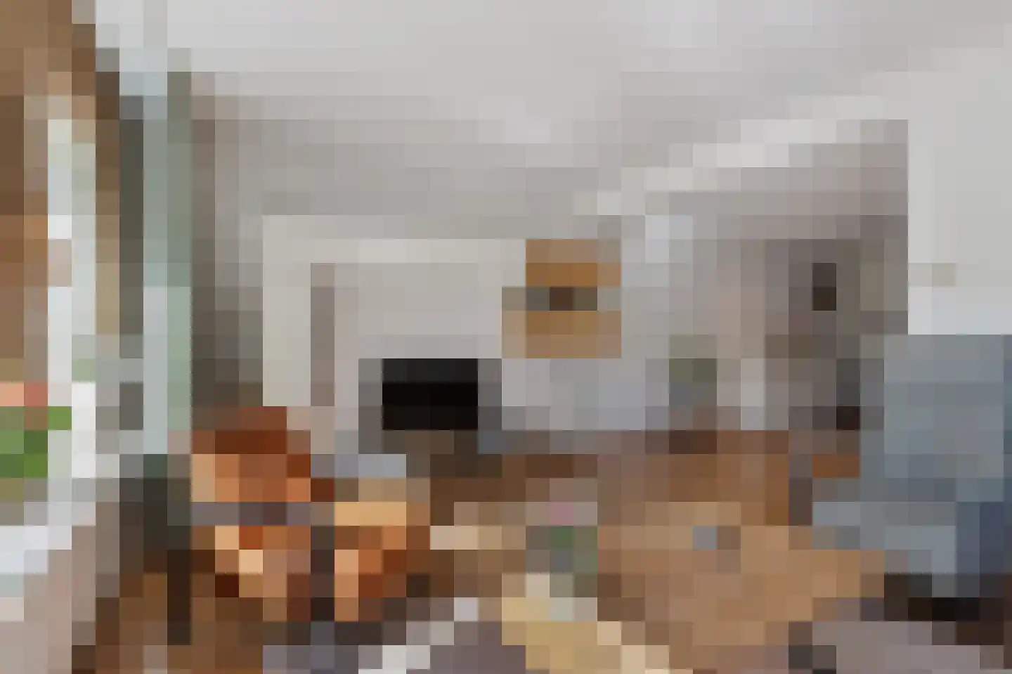Jol 11 Joure thumbnail 12