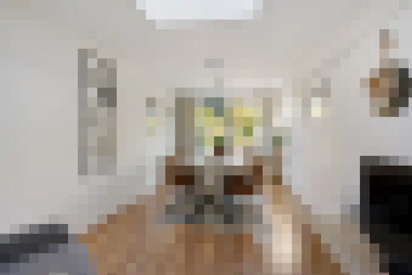 Jol 11 Joure thumbnail 18