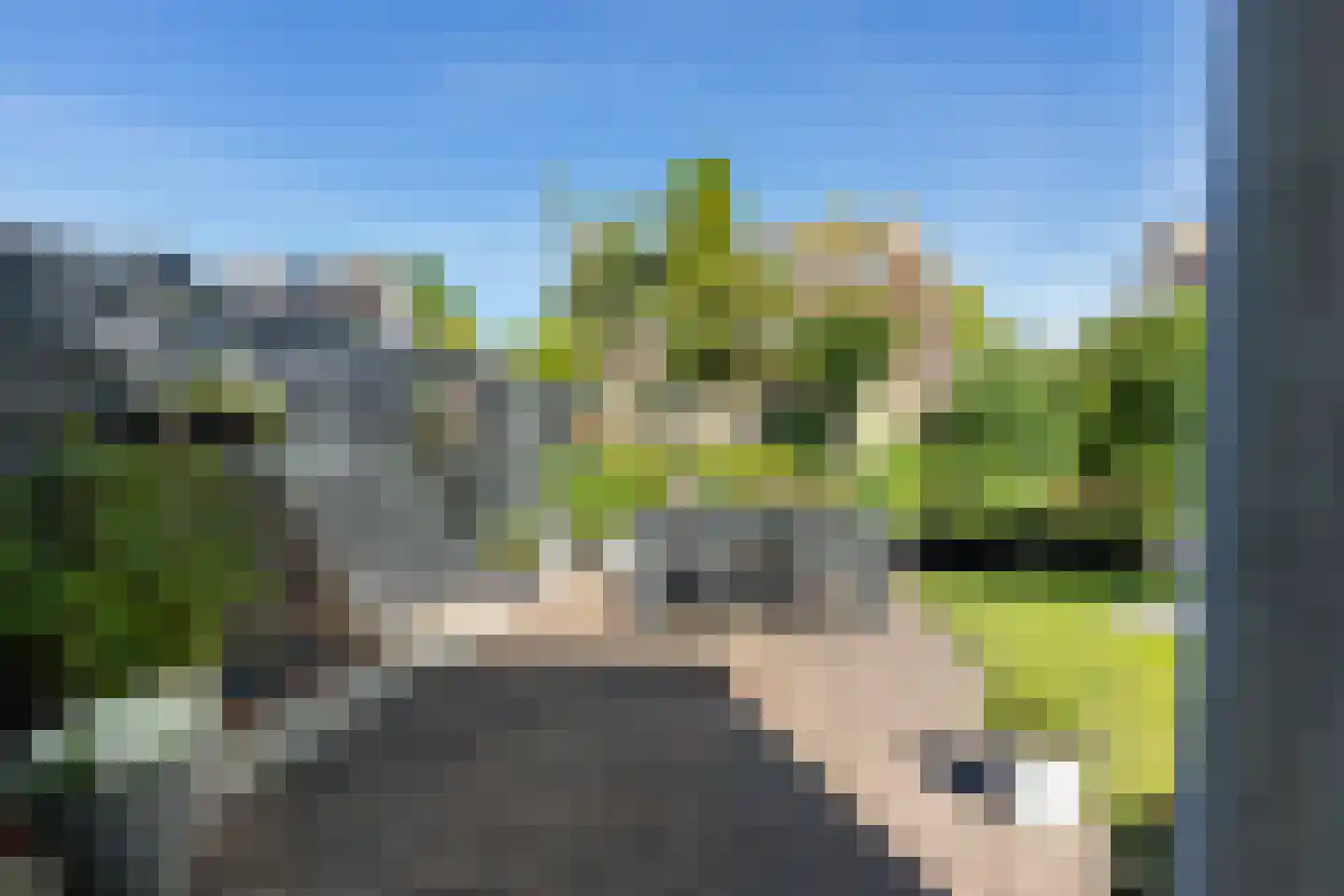 Jol 11 Joure thumbnail 37