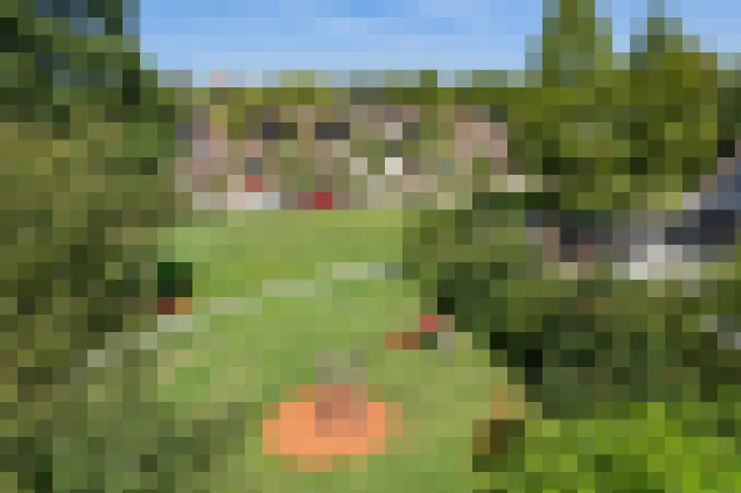 Jol 11 Joure thumbnail 41