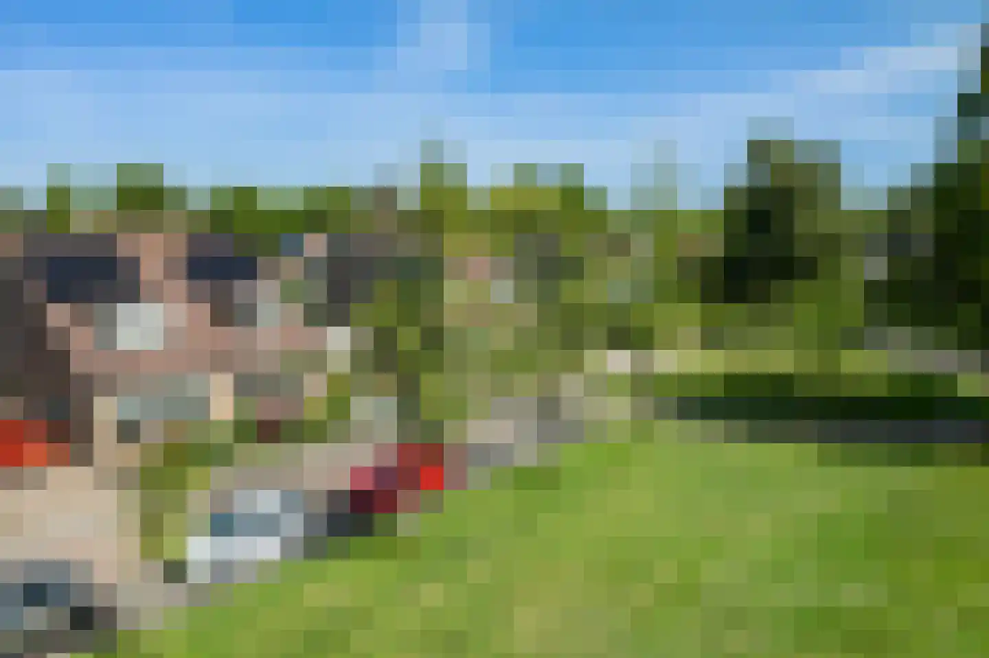 Jol 11 Joure thumbnail 46