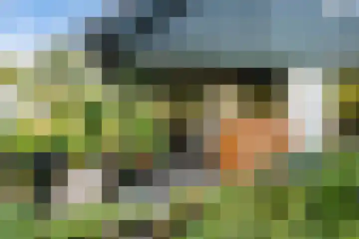 Jol 12 16 Lelystad thumbnail 41