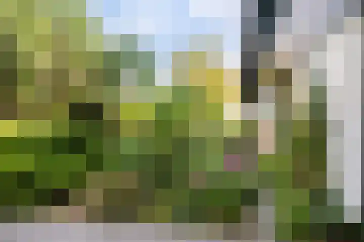 Jol 12 16 Lelystad thumbnail 42
