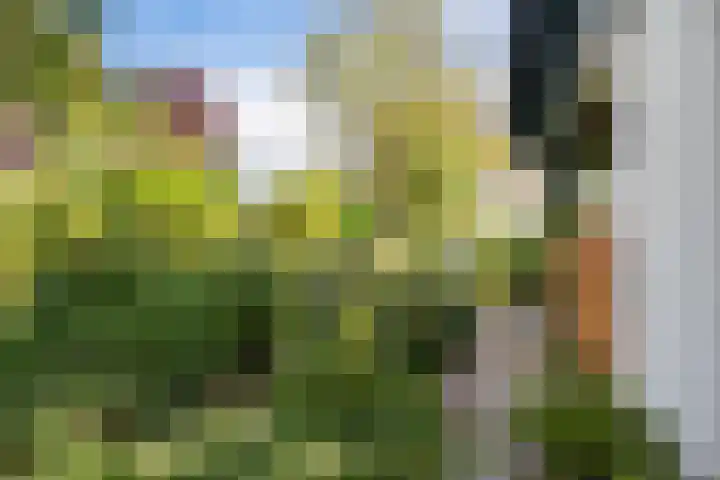 Jol 12 16 Lelystad thumbnail 43