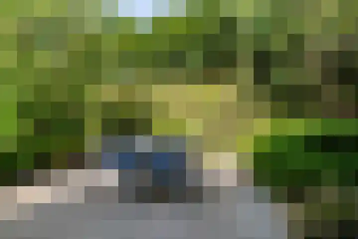 Jol 12 16 Lelystad thumbnail 44