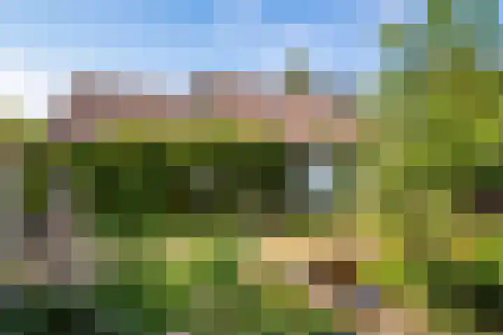 Jol 12 16 Lelystad thumbnail 45