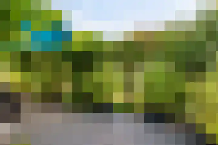 Jol 12 16 Lelystad thumbnail 48