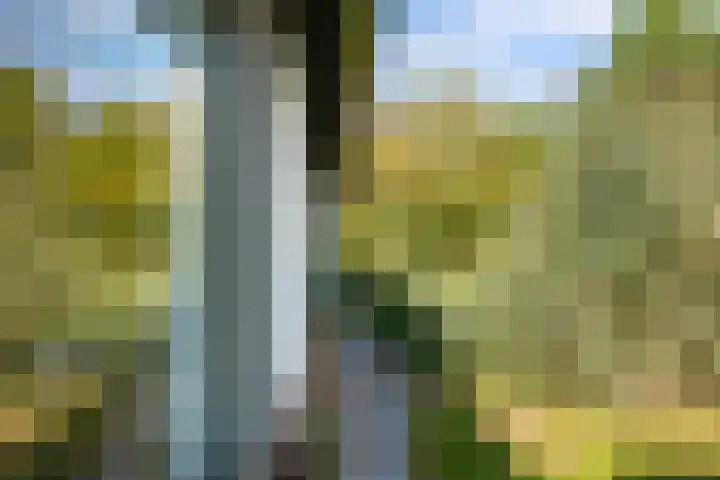 Jol 12 16 Lelystad thumbnail 51