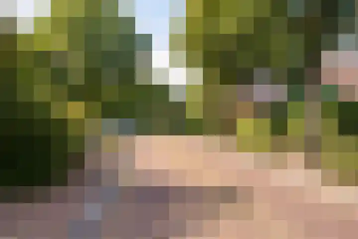 Jol 12 16 Lelystad thumbnail 54