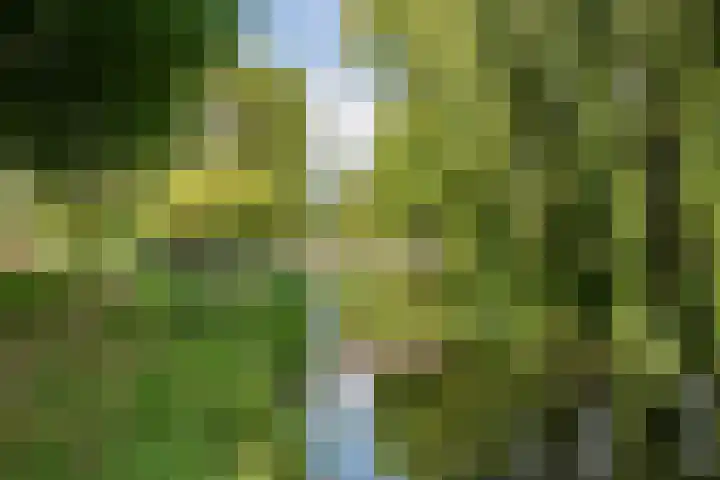 Jol 12 16 Lelystad thumbnail 60