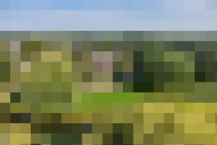 Jol 12 16 Lelystad thumbnail 62