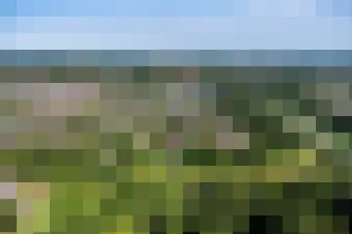 Jol 12 16 Lelystad thumbnail 63