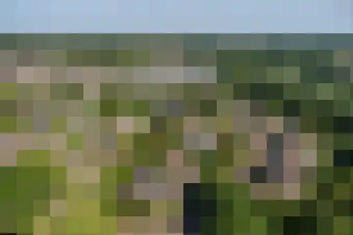 Jol 12 16 Lelystad thumbnail 64