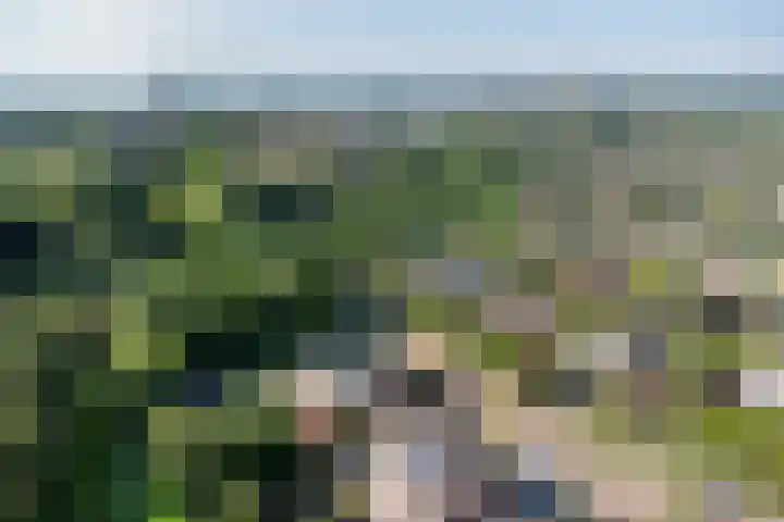Jol 12 16 Lelystad thumbnail 68