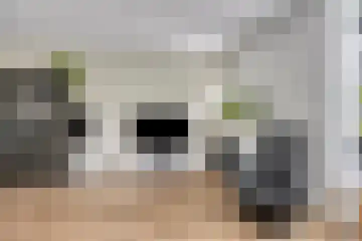 Jol 12 Meppel thumbnail 10