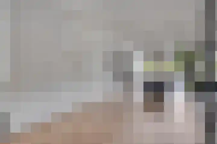 Jol 12 Meppel thumbnail 11