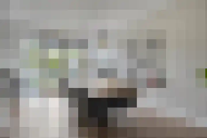 Jol 12 Meppel thumbnail 13