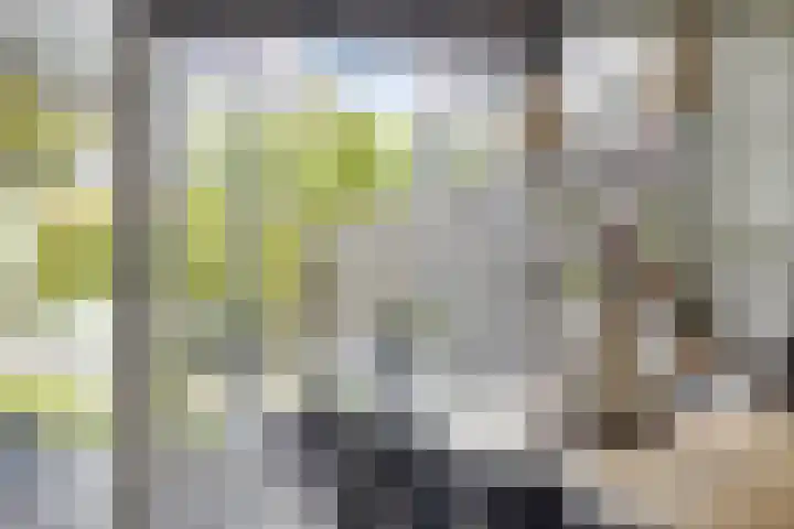 Jol 12 Meppel thumbnail 14